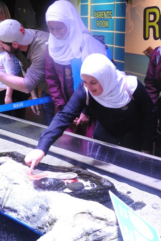 Year 7 Excursion: Sea Life Aquarium