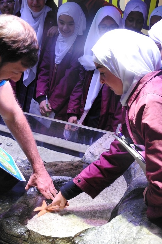 Year 7 Excursion: Sea Life Aquarium