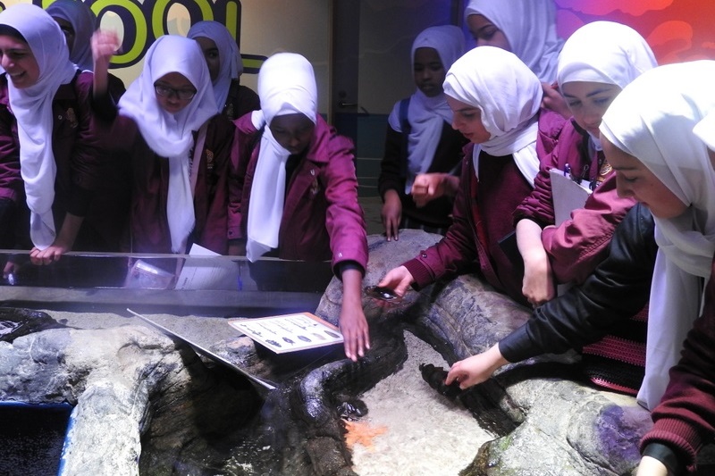 Year 7 Excursion: Sea Life Aquarium