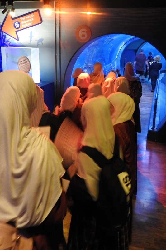 Year 7 Excursion: Sea Life Aquarium