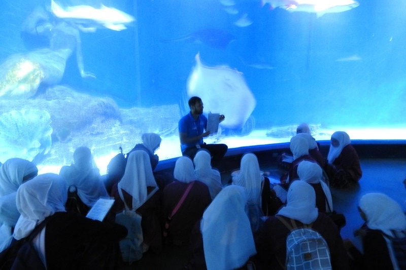 Year 7 Excursion: Sea Life Aquarium