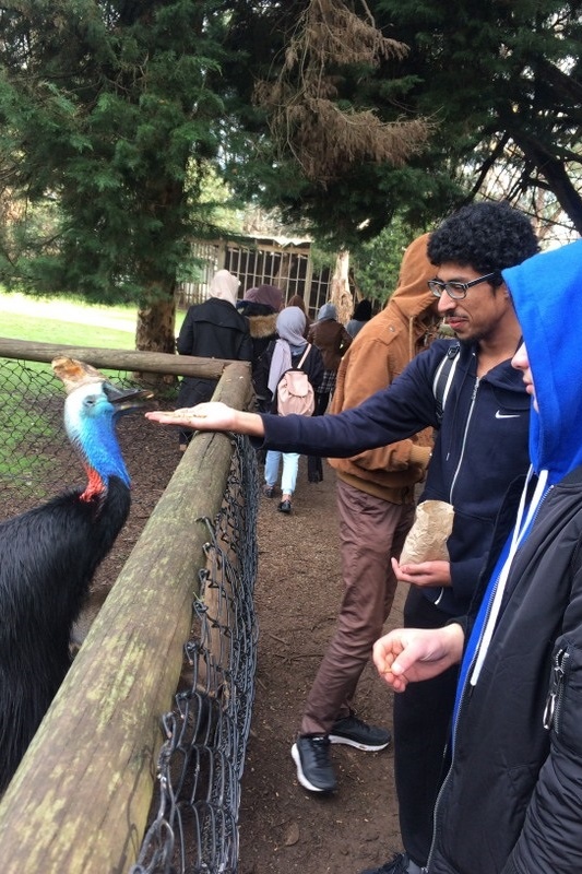 Year 12 Phillip Island Trip