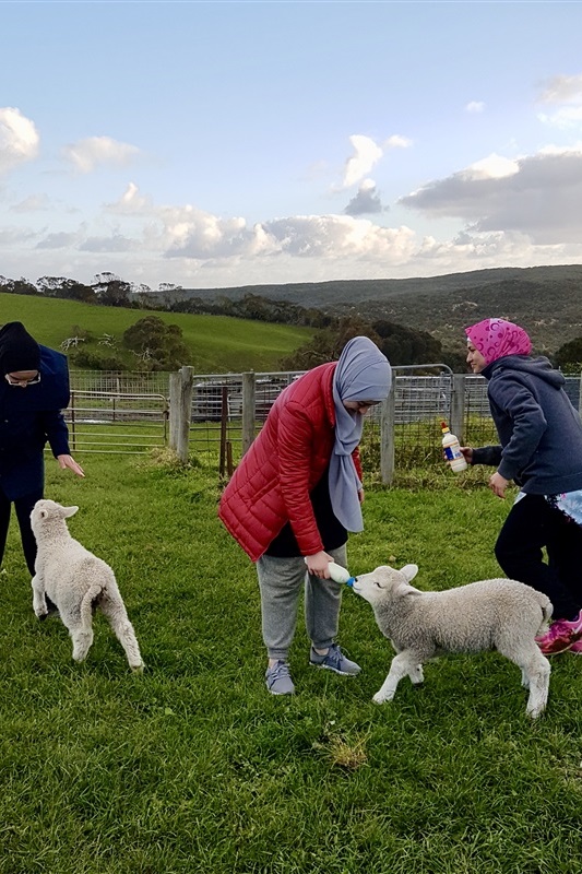 ASC Sisters and Girls Camp Kangaroobie