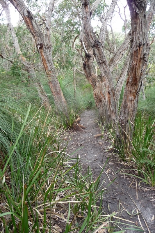 Camp Kangaroobie