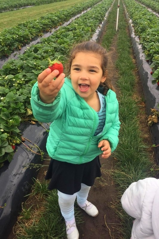 Islamic Storytime Excursion: Strawberry Farm