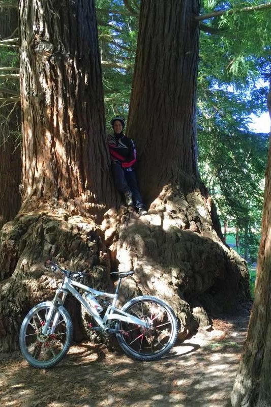 Staff Cycling Team: Le Tour dAl Siraat