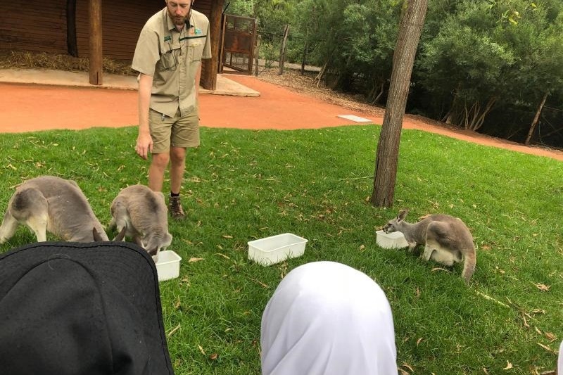 Year 2 Excursion to Healesville