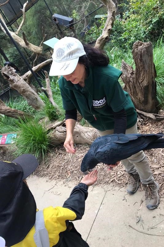 Year 2 Excursion to Healesville