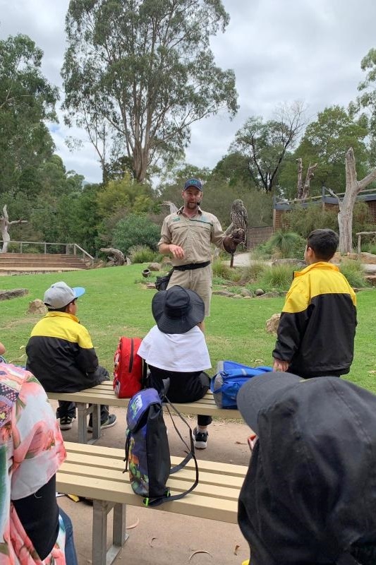 Year 2 Excursion to Healesville