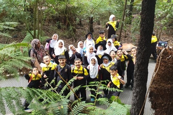 Year 2 Excursion to Healesville