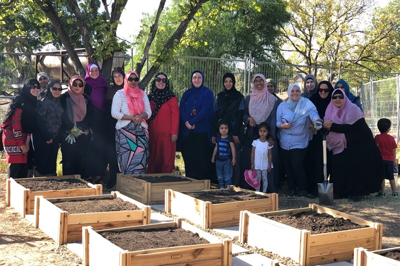 Community Gardens: Mums Second Working Bee