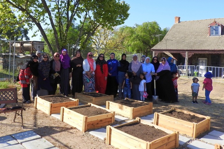 Community Gardens: Mums Second Working Bee