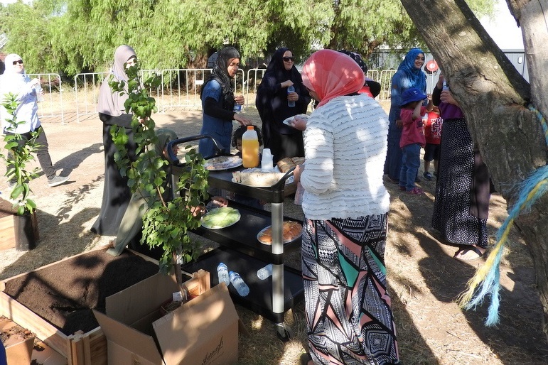 Community Gardens: Mums Second Working Bee