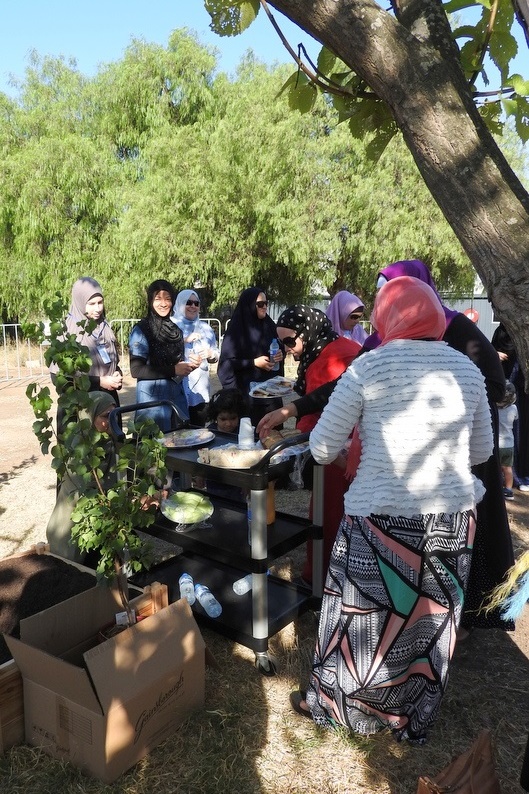 Community Gardens: Mums Second Working Bee