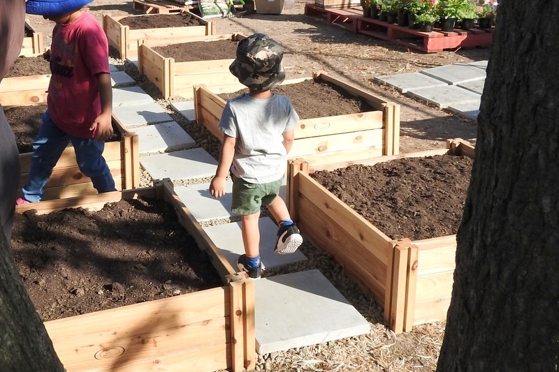 Community Gardens: Mums Second Working Bee