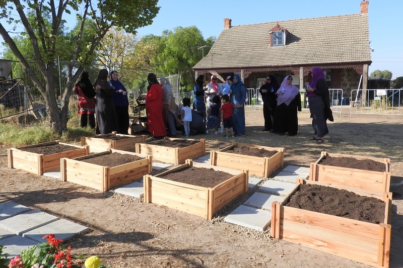 Community Gardens: Mums Second Working Bee