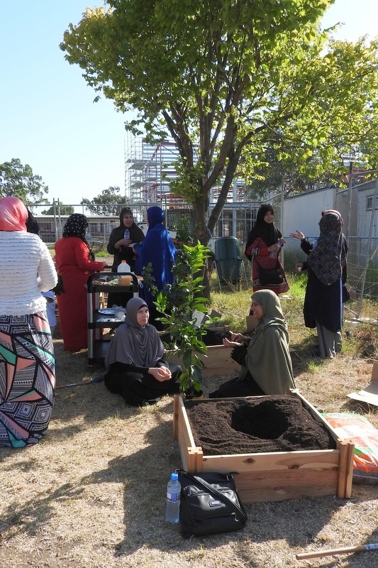 Community Gardens: Mums Second Working Bee