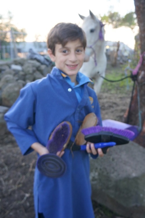 New Horsemanship Class for Year 3 Students