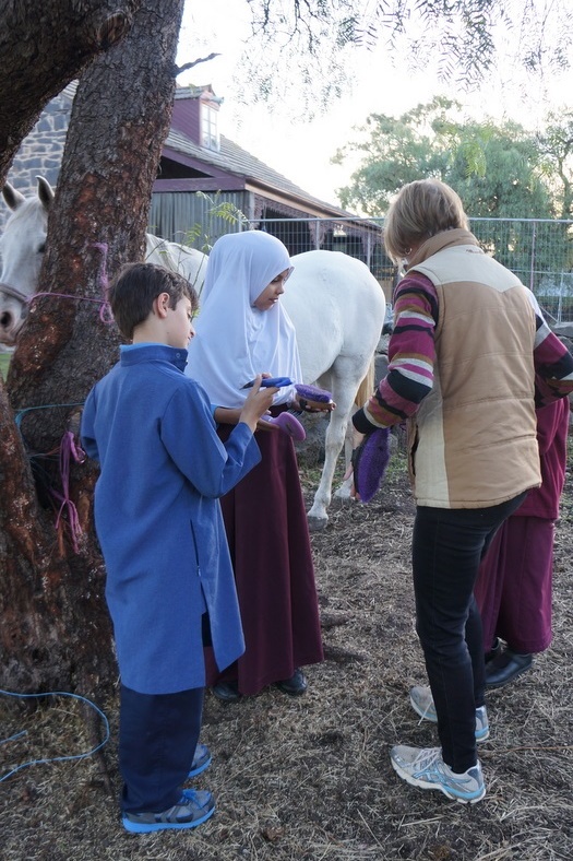 New Horsemanship Class for Year 3 Students