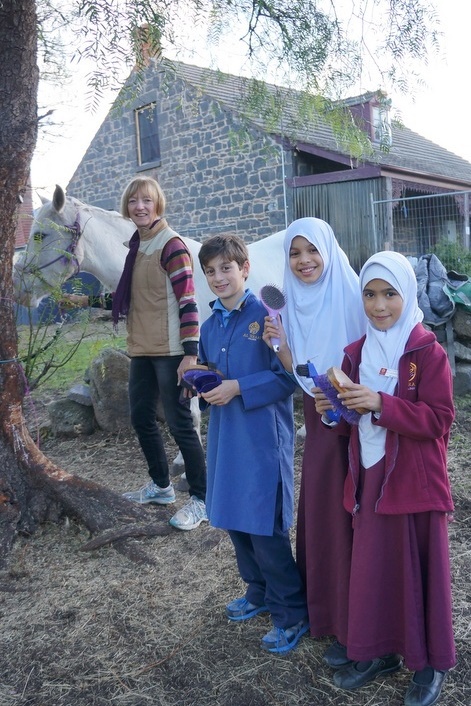 New Horsemanship Class for Year 3 Students