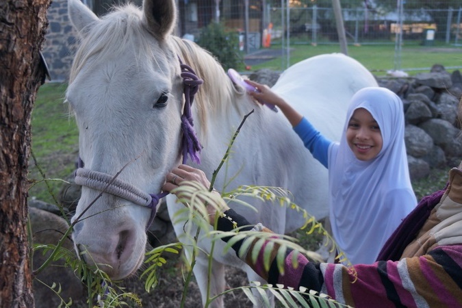 New Horsemanship Class for Year 3 Students