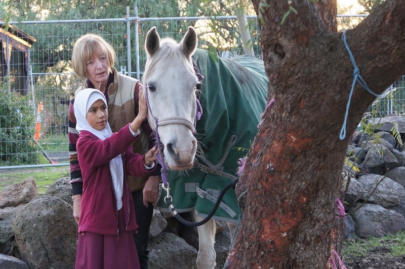 New Horsemanship Class for Year 3 Students