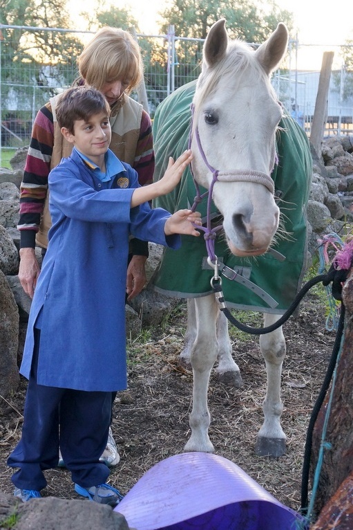 New Horsemanship Class for Year 3 Students