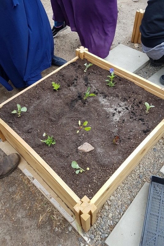 Mums and Bubs Gardening Workshop