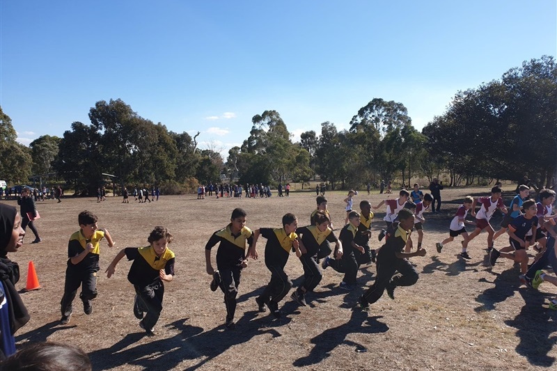 Year 5-6: Cross Country Race