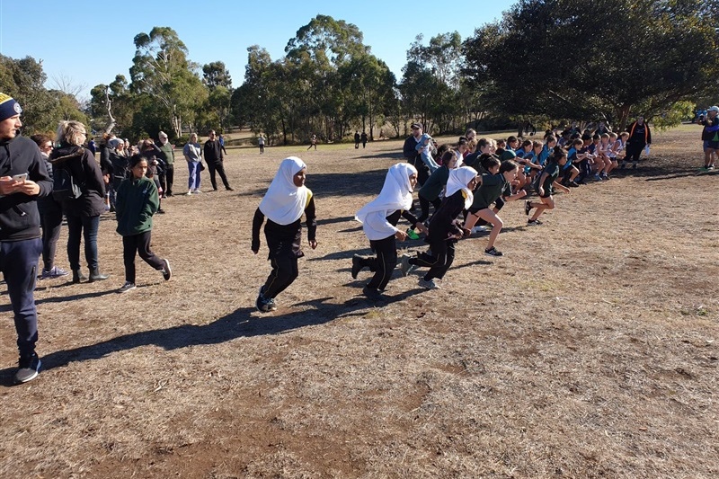 Year 5-6: Cross Country Race