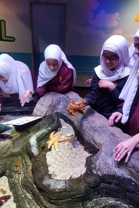 Year 7 Excursion to the Melbourne Aquarium