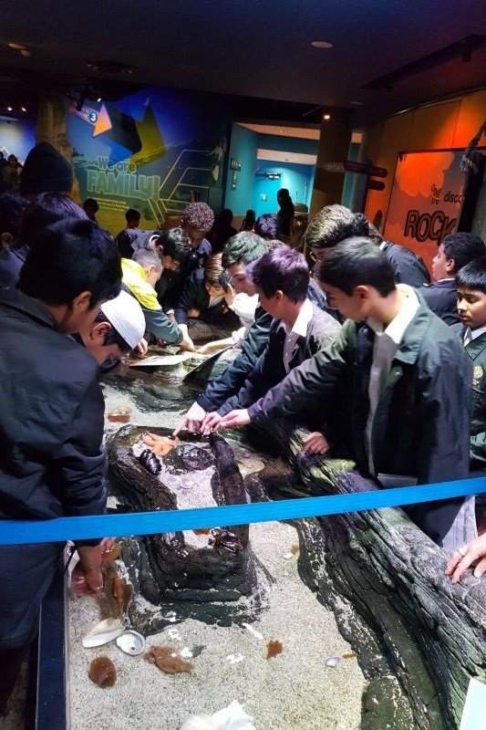 Year 7 Excursion to the Melbourne Aquarium