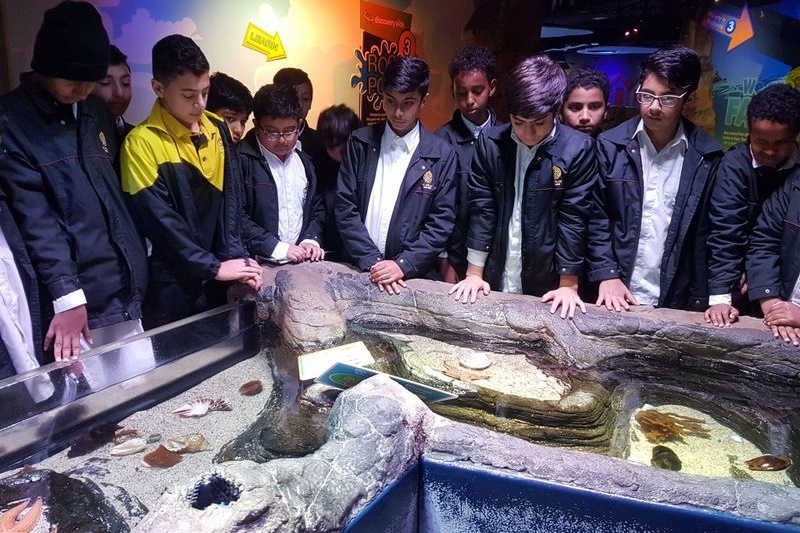 Year 7 Excursion to the Melbourne Aquarium