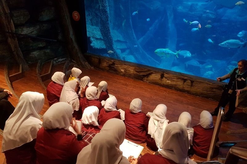 Year 7 Excursion to the Melbourne Aquarium