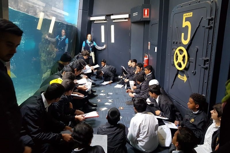 Year 7 Excursion to the Melbourne Aquarium