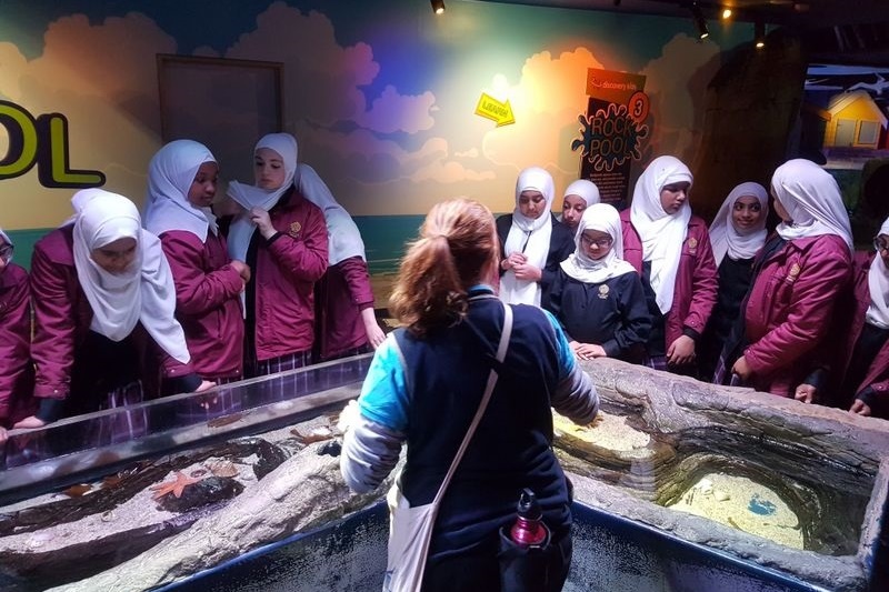 Year 7 Excursion to the Melbourne Aquarium