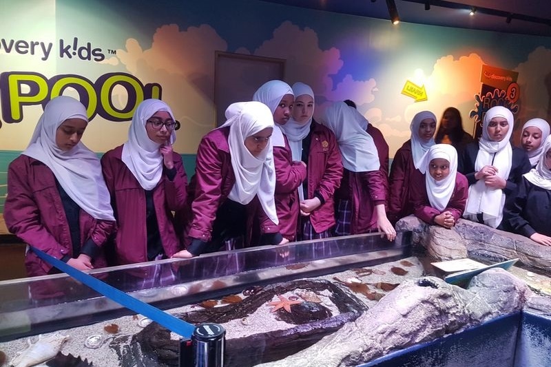 Year 7 Excursion to the Melbourne Aquarium