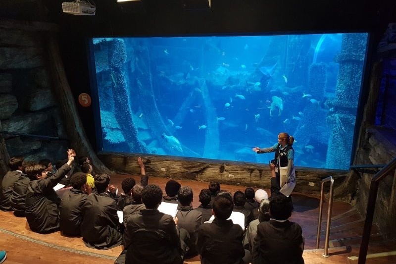 Year 7 Excursion to the Melbourne Aquarium