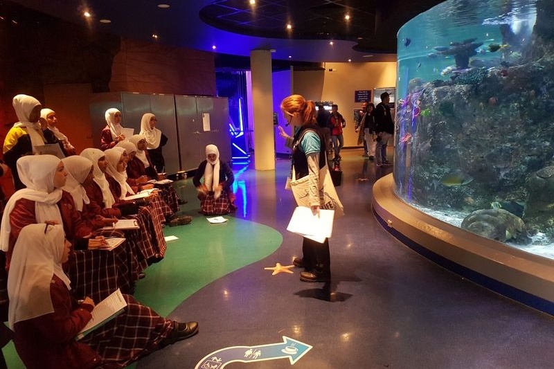 Year 7 Excursion to the Melbourne Aquarium