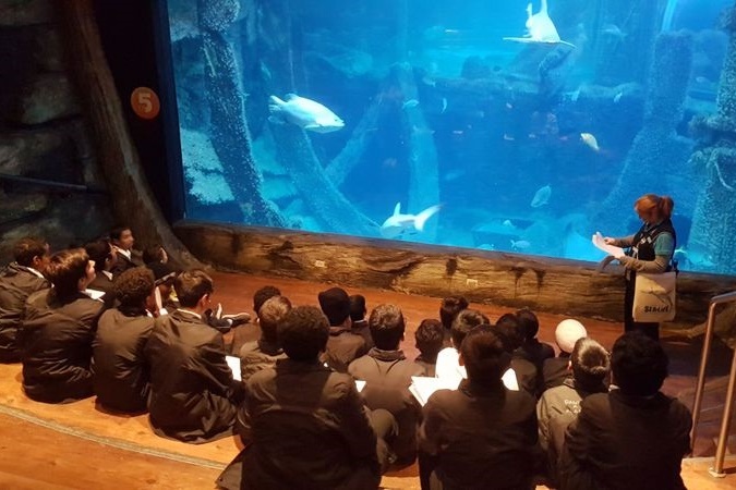 Year 7 Excursion to the Melbourne Aquarium