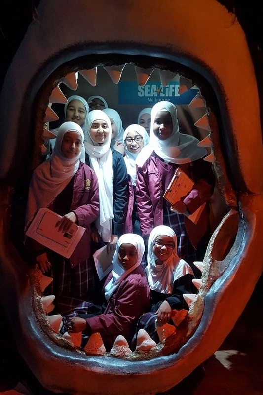 Year 7 Excursion to the Melbourne Aquarium