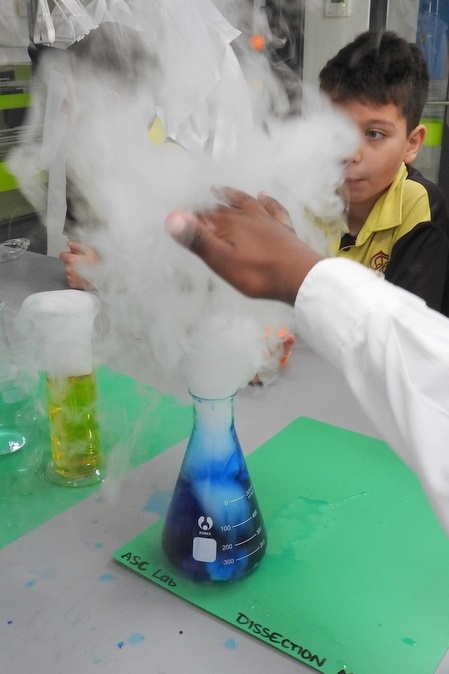 Students Celebrating Science Week