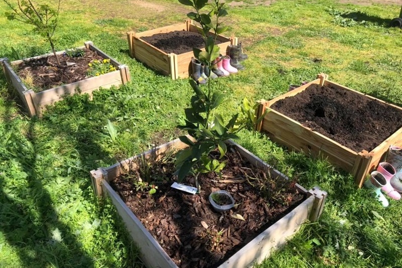 Launch of Sunday Gardening Club