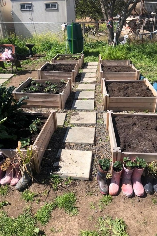 Launch of Sunday Gardening Club