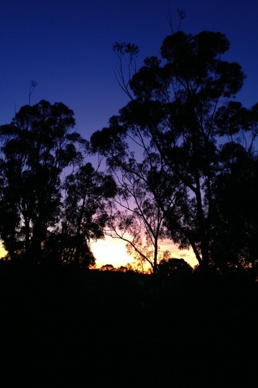 Lady Northcote Camp for Year 4 to 6 Students