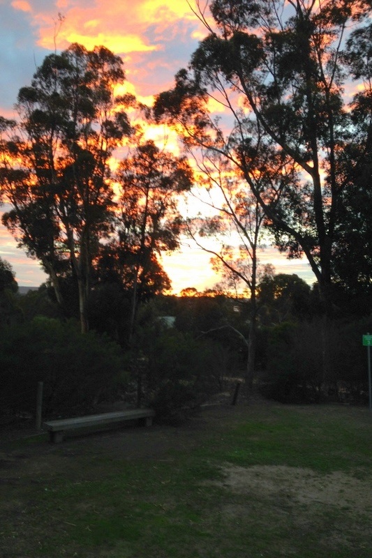 Lady Northcote Camp for Year 4 to 6 Students