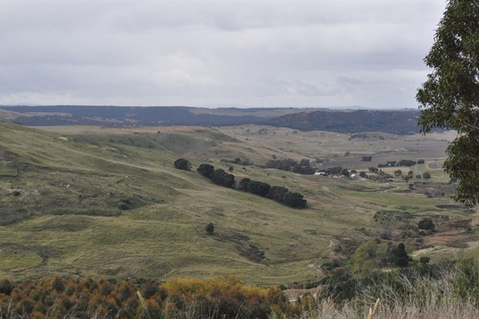 Lady Northcote Camp for Year 4 to 6 Students