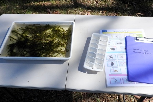 Hifz Students learn about our local Creek