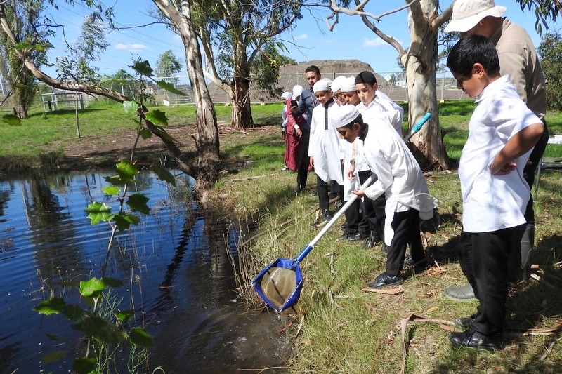 Hifz Students learn about our local Creek