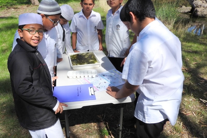 Hifz Students learn about our local Creek